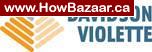 Ottawa IT support